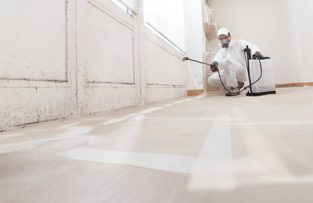 24/7 Emergency Mold Remediation experts in The Plains, VA
